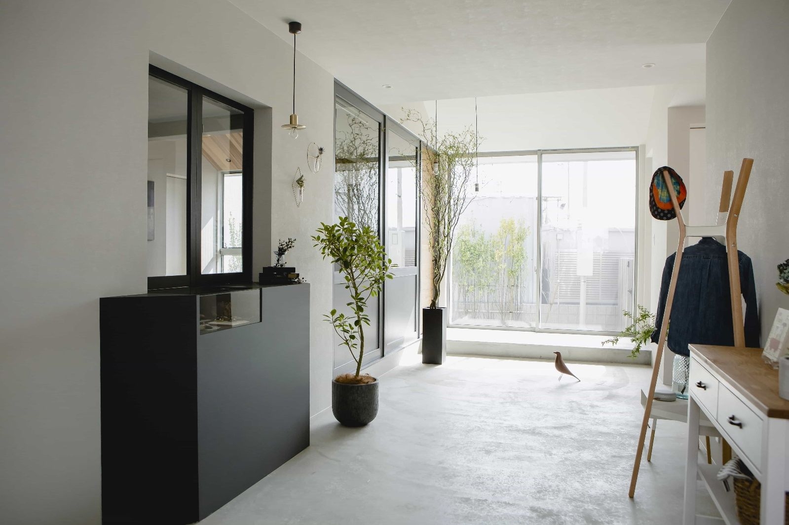 Display Cabinet